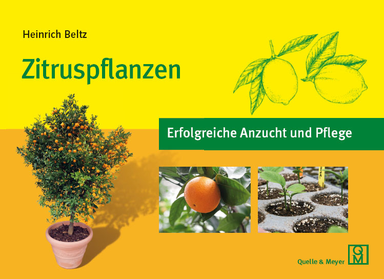 Belz-Zitruspflanzen.jpg