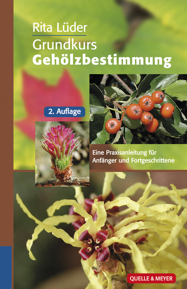 GEHOELZE.jpg
