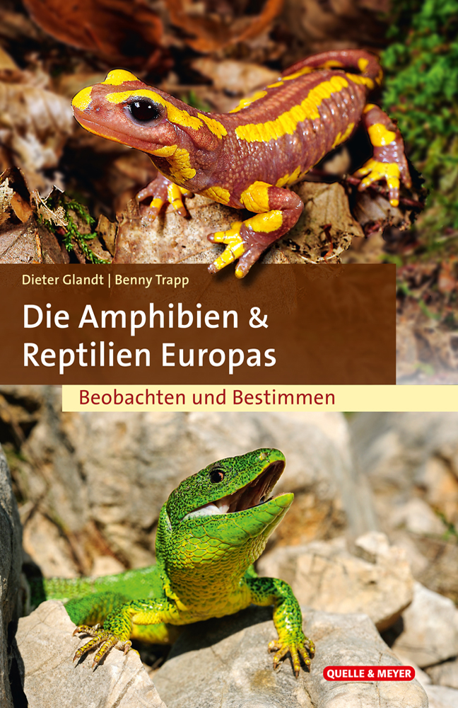 Glandt-Amphibien-Europas.jpg
