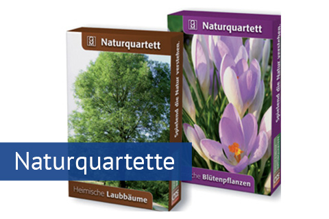 Naturquartette.jpg