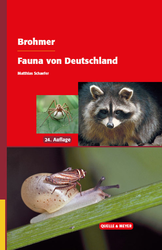 brohmer-fauna.jpg