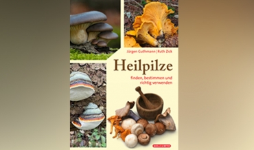 Ankündigung: Heilpilze