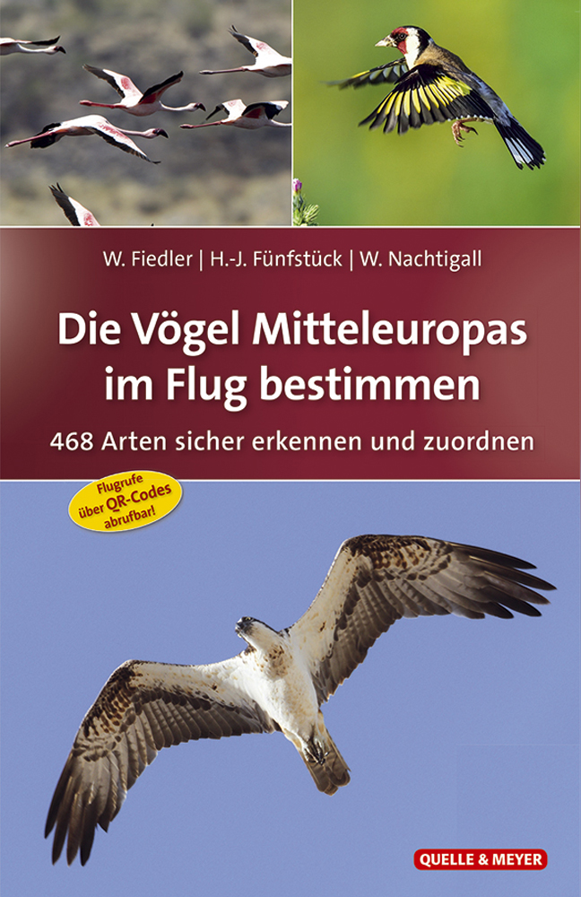Fiedler_Vögel-i.-Flug-bestimmen_1.A.5x7.jpg