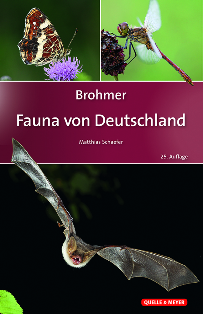 Brohmer_Fauna-Dtl._25A._5x7.jpg