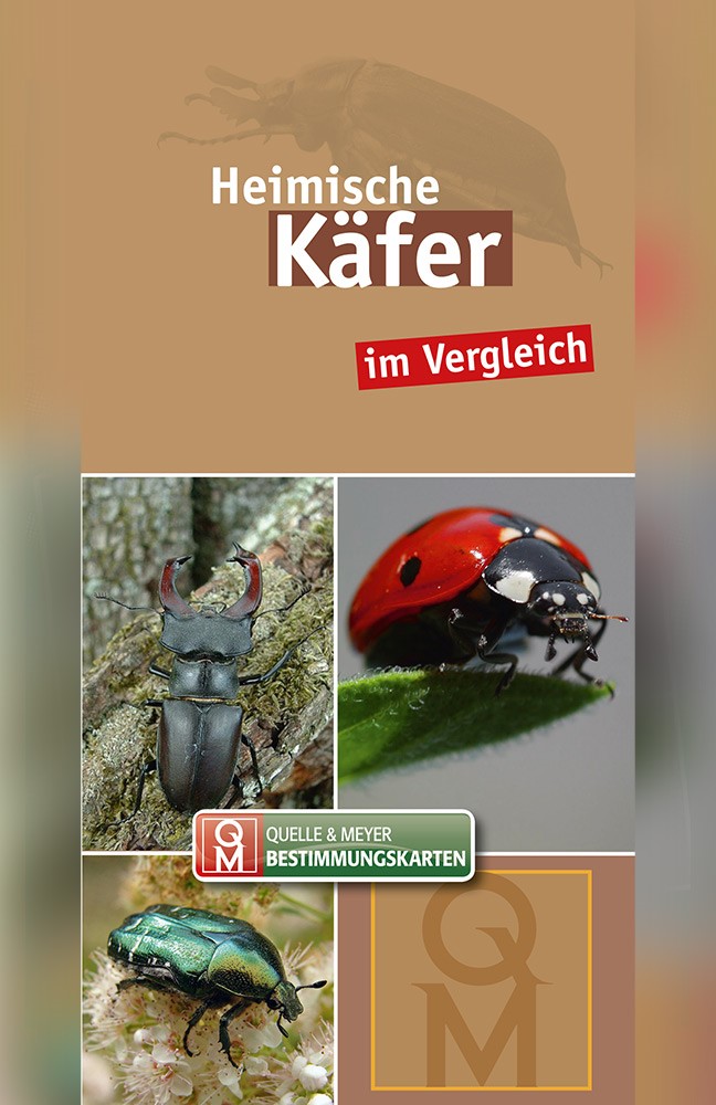 Käfer-Karte.jpg