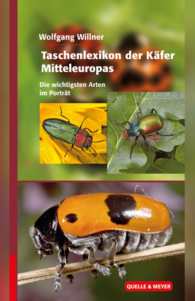 willner-käfer.jpg