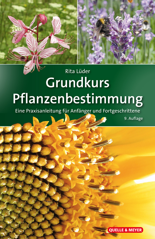 Lüder-GK-Pflanzen.jpg