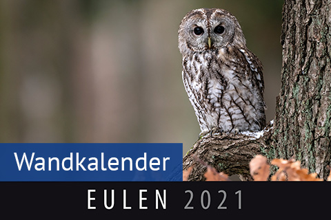 kalender-eulen.jpg