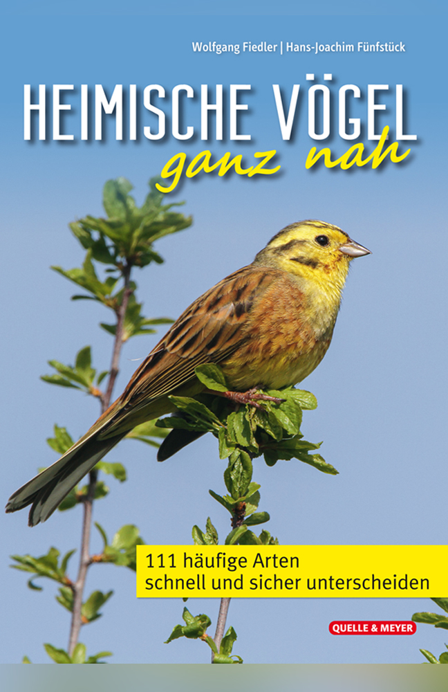 Fiedler-Heimische-Vögel.jpg