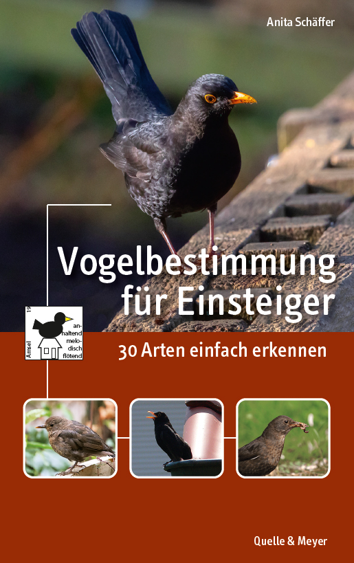 Schäffer-Einsteigerbuch-Cover.jpg