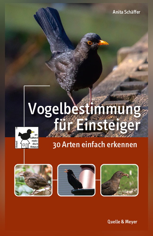 Schäffer-Vogelbestimmung-für-Einsteiger.jpg