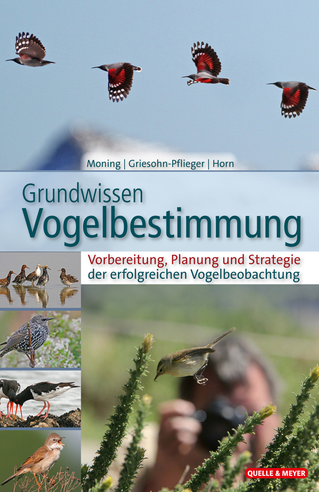 Moning-GW-Vogelbestimmung.jpg