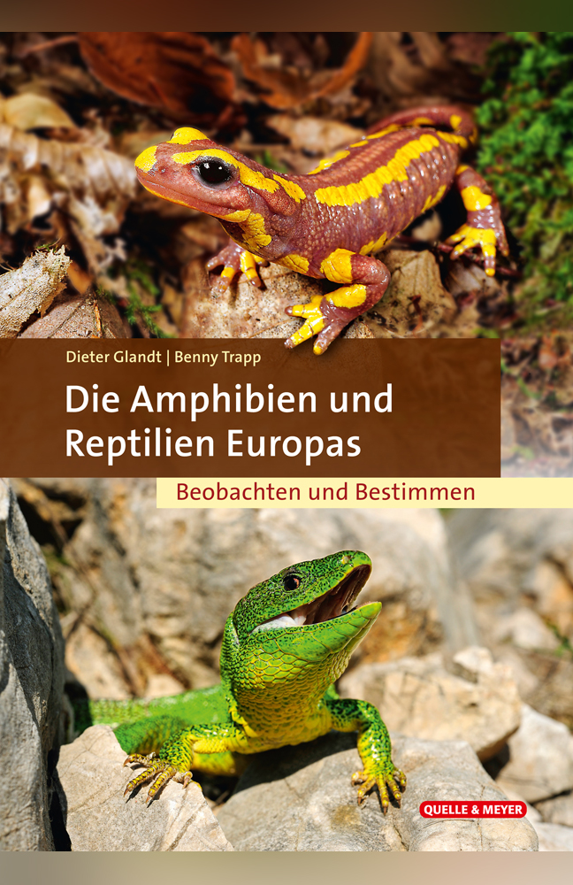 Trapp-Amphibien-Reptilien-Europas.jpg