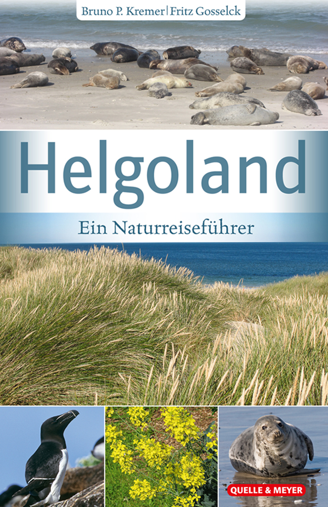 Kremer-Helgoland.jpg