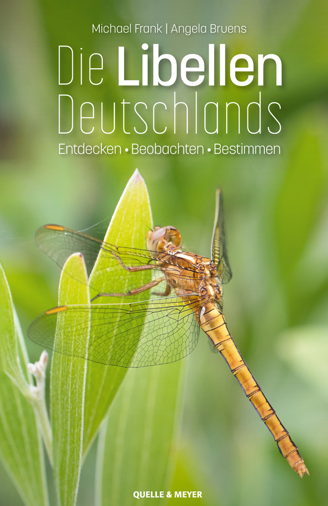 Frank-Libellen.jpg