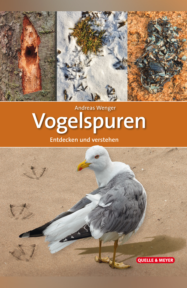 Wenger, Vogelspuren