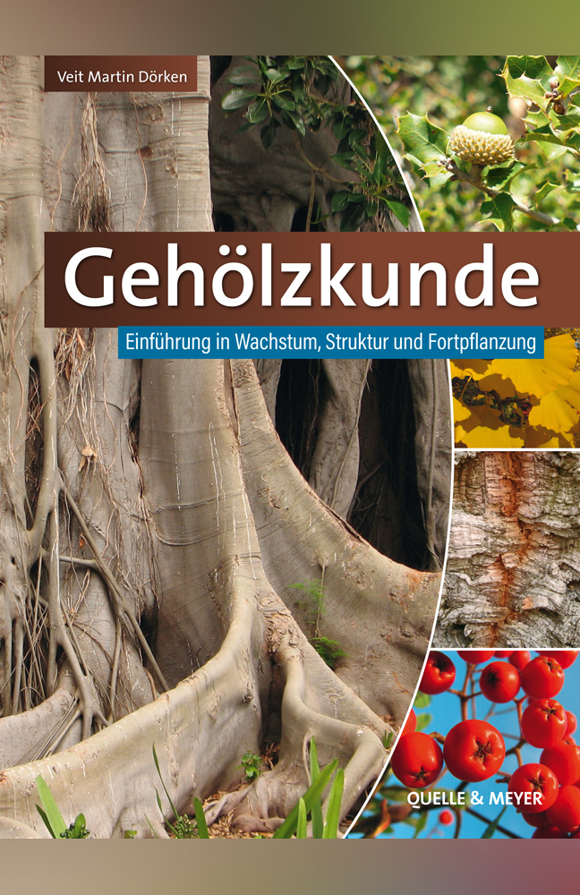 Dörken, Gehölzbiologie